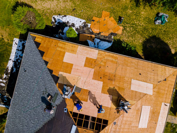 Best Roof Waterproofing Services  in Forest Heights, MD