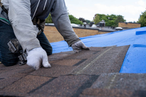 Best Metal Roofing Contractor  in Forest Heights, MD