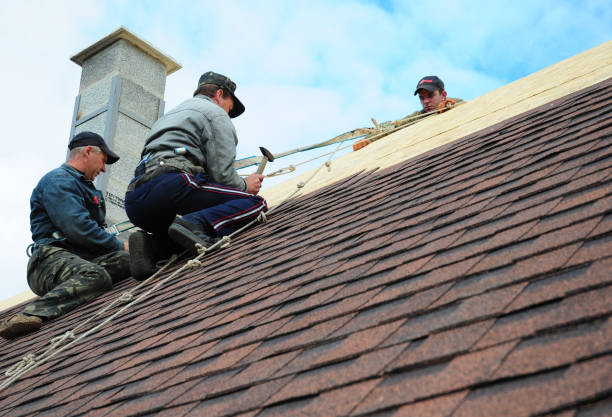 Best Roof Gutter Cleaning  in Forest Heights, MD