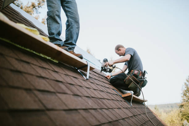 Best Gutter Installation and Roofing  in Forest Heights, MD
